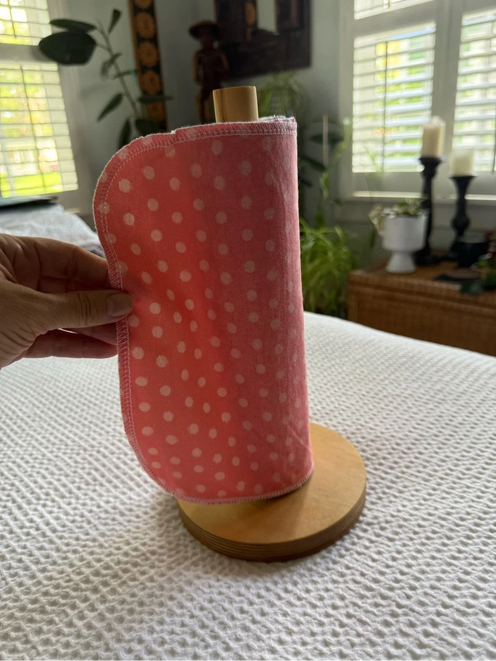 Re-usable paper towels + holder